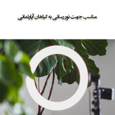 رینگ لایت مدل LJJ-26 RGB-26cm